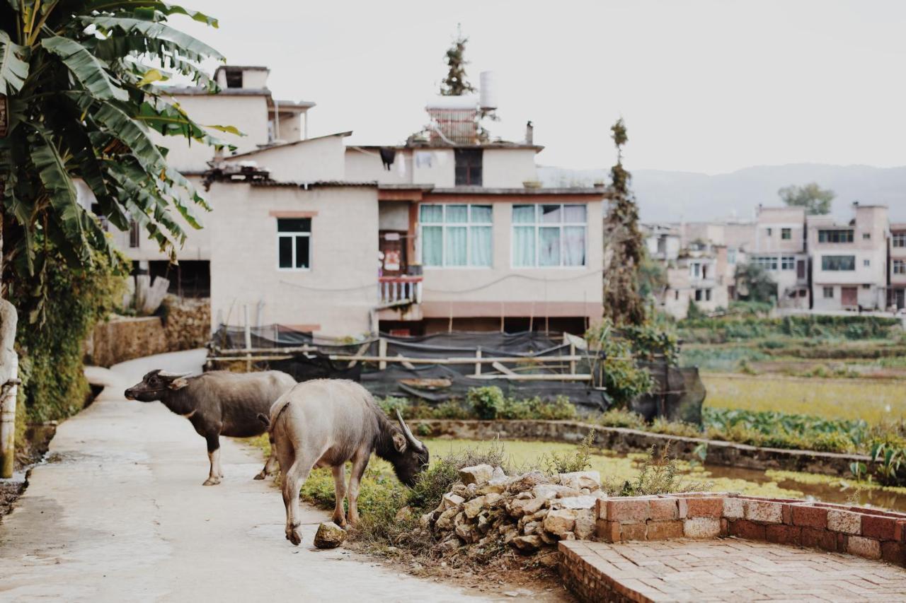 The Twelve Manor•Terraces Lodge Nguyên Dương Ngoại thất bức ảnh